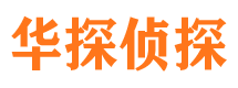 爱民市侦探公司